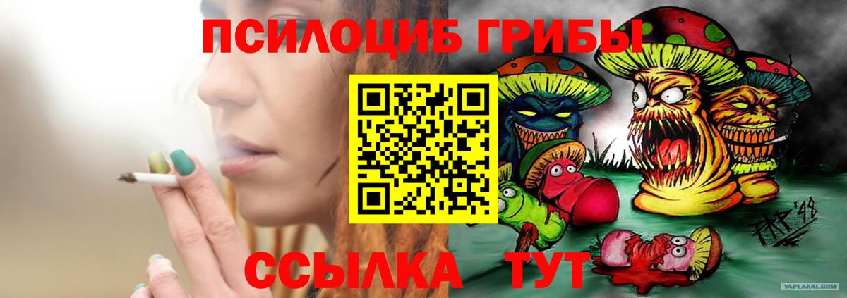 Галлюциногенные грибы GOLDEN TEACHER Абакан